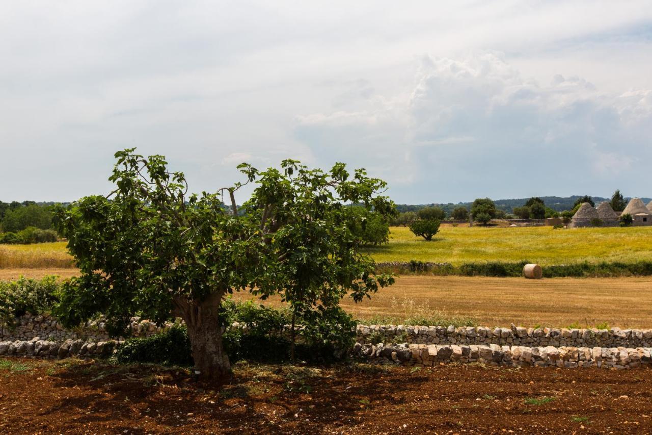 Trulli Gianpaolo - Luxury Villa オストゥーニ エクステリア 写真